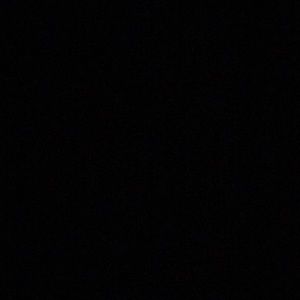 Meet your Posher, Sienna